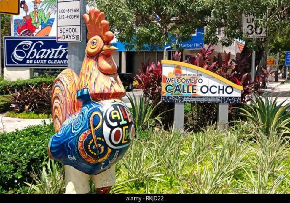 Intimate Casita Mia Minutes Away From Airport, Calle 8, Brickell, Coral Gables, The Beach And More! マイアミ エクステリア 写真